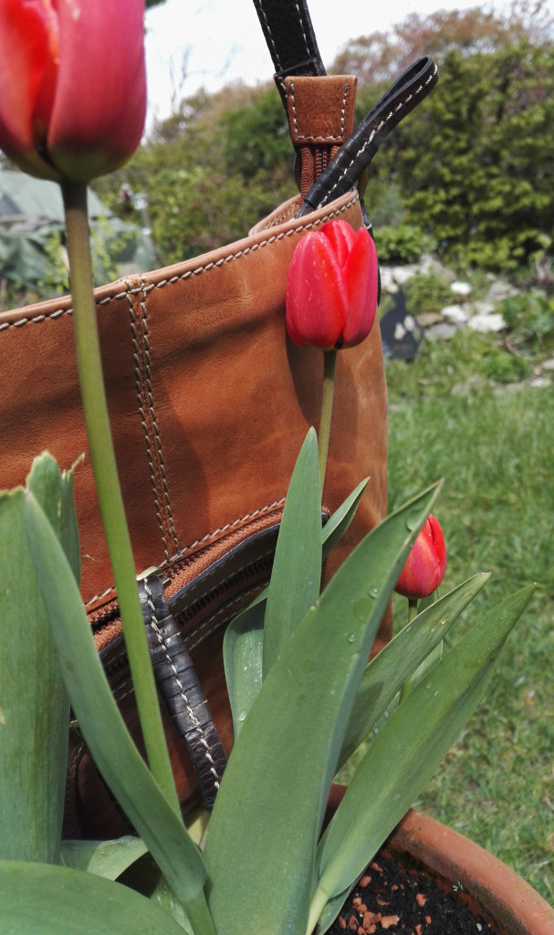 Tulpen und Tasche - warum nicht gleich beides?